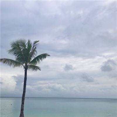 ag娱乐平台游戏中心下载手机版